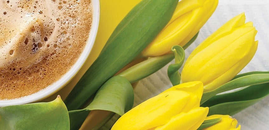 Spring 2026 marks 20 years of the Buzz Book in print in NW Ohio